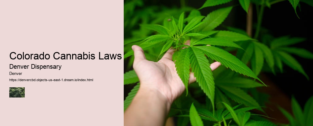 Colorado Cannabis Laws