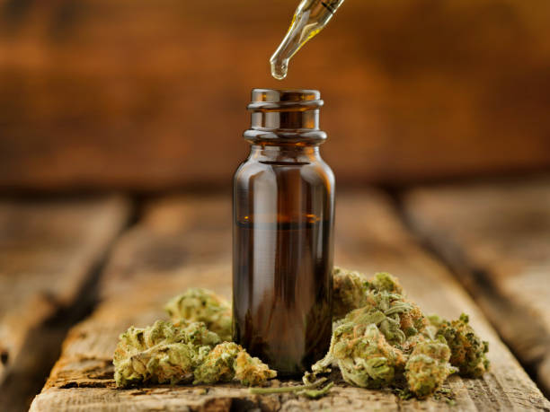Unique Experiences on Denver Marijuana Excursions